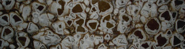 Eroded crystal faces (NPS photo)